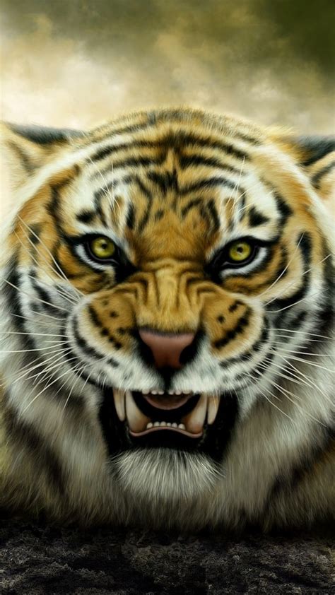 Angry View Angry Tiger Images Hd Wallpaper Images