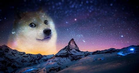 1080p Hd Doge Wallpaper 1920x1080 Is A High Quality Quality Wallpaper You Can Get It Now On