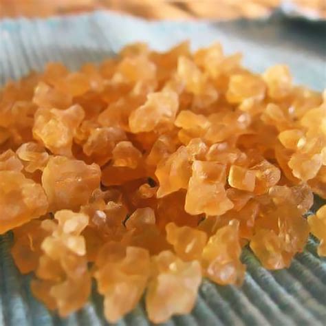 Water Kefir Grains Genuine Dried Hydrates To 14 Cup The