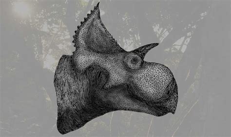Descubren Nueva Especie De Dinosaurio Que Vivió Hace 73 Millones De Años