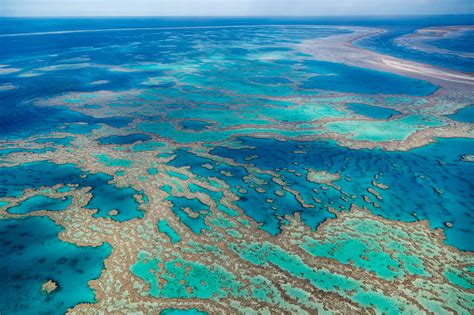 How Old Is The Great Barrier Reef Hundreds Of Thousands Of Years