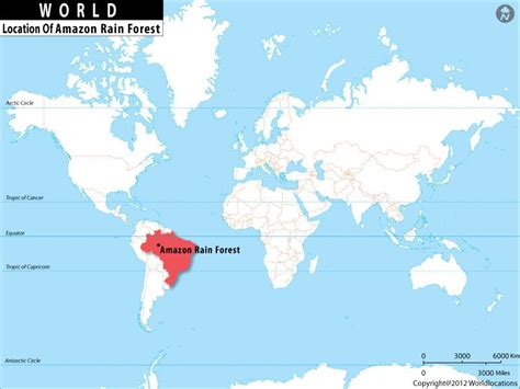 The amazon rainforest is located in south america. where is Amazon Rainforest/>