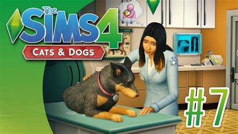 Sims 4 Cats And Dogs 7 Were Now Vets Youtube