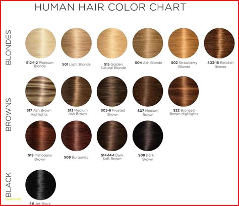 Majirel Hair Color Chart 149415 Hair Colour Chart Loreal Majirel