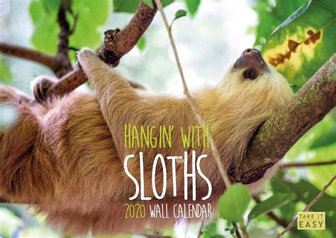 Hangin With Sloths 2020 Calendar The Funny Sloths Calendar English