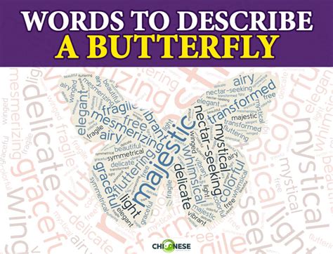 Best Words To Describe A Butterfly Flying Moves Wings Beauty