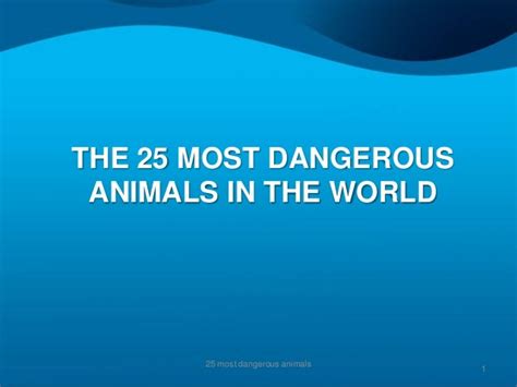 The 25 Most Dangerous Animals On The Planet