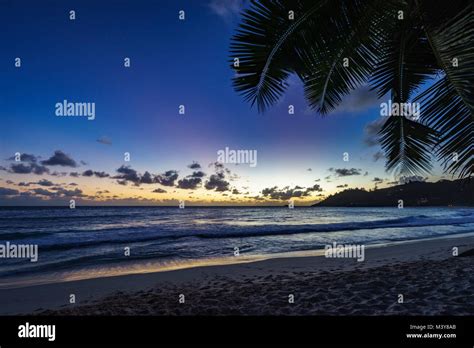 After Sunset At Tropical Beach Behind Palm Leaf Anse Intendance Seychelles Mah Stock Photo