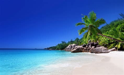 7 Reasons Why Seychelles Is On Every Indians Bucket List Makemytrip Blog
