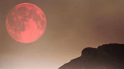 Superluna Rosa De Abril 2021 Origen Significado Y Por Qué Se Llama Así La Luna Llena Rosa