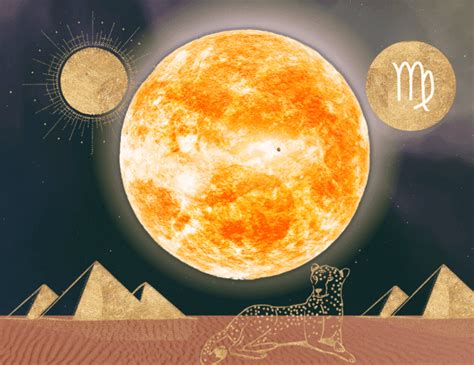 What The Sun In Virgothe 6th House Reveals About Your Chart