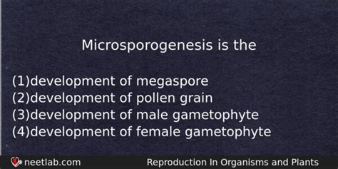 Microsporogenesis Is The Neetlab