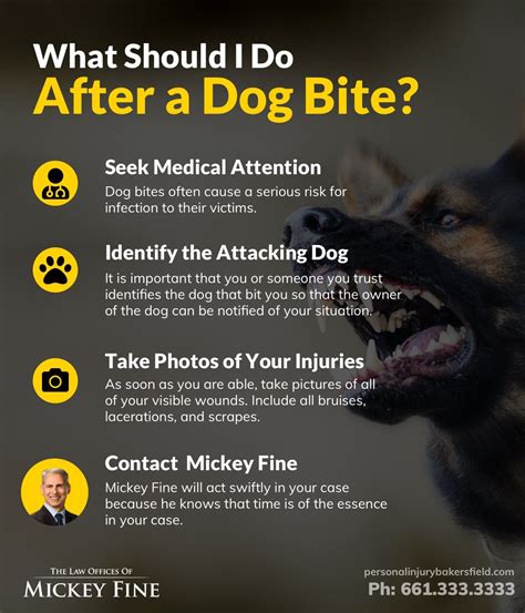What Should I Do For Dog Bite