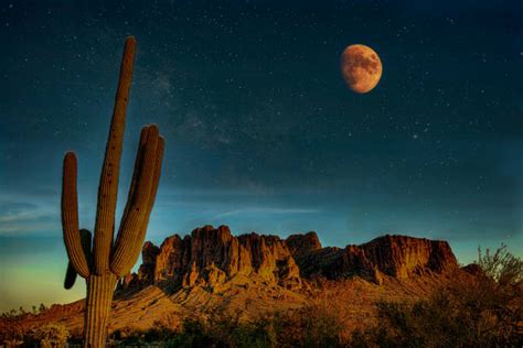 Desert Moon Stock Photos Pictures And Royalty Free Images Istock