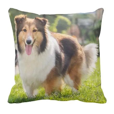 Cute Sheltie Shetland Sheepdog Dog Decorative Cushion Cover Shetland