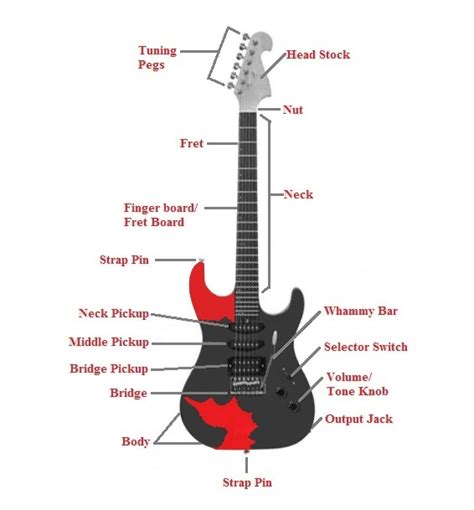 On this guitar in the diagram, the pickup is. Do not stop dreaming!: Guitar Diagram