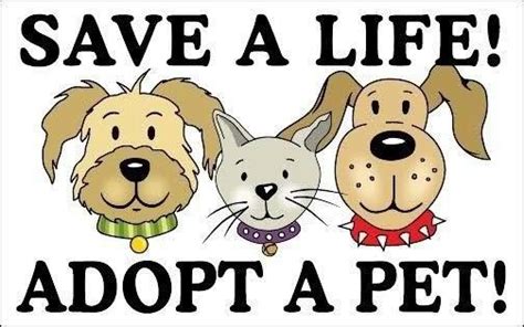 This day encourages those with the time and resources to adopt a furry friend. National Adopt a Shelter Dog Day | The Muttropolis Blog
