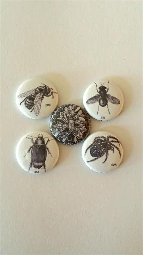 Set Of Five Insect Bug Pins Buttons Badges By Pinyourheartout 600