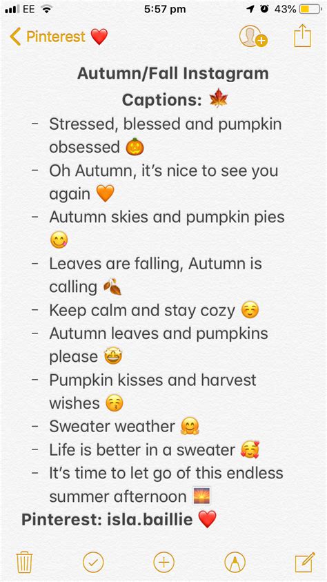 Autumnfall Instagram Captions 🍁 Instagram Captions For Friends