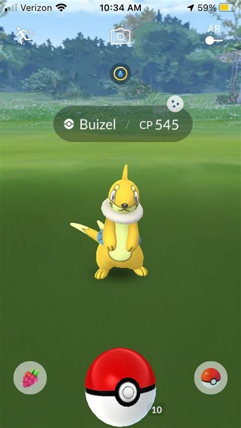 Buizel Pokémon How To Catch Moves Pokedex And More