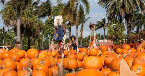 Halloween In Miami Check Out These Hot And Happening Haunts For 2022