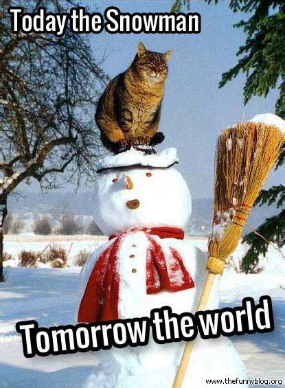 funniest winter memes   time gallery
