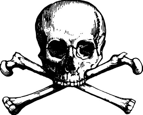 Skull And Bones Skull And Crossbones Clip Art Skulls Png Download