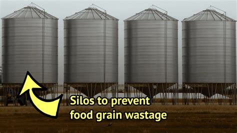 Storing Food Grains In Silos An Effective Method To Counter Regular