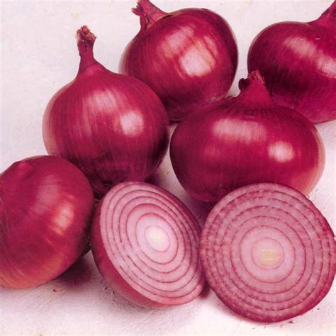 Buy Onion Seeds Improved Dark Red Online At