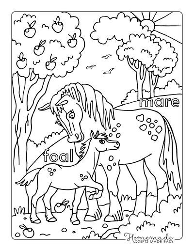 Best Horse Coloring Pages For Kids And Adults Free Printables