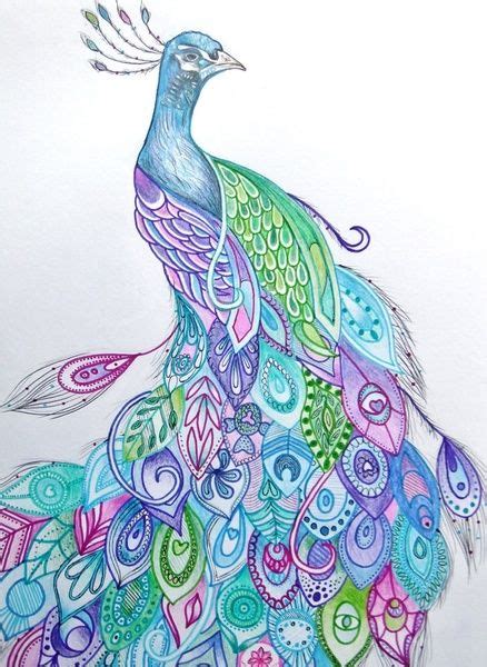 Beautiful Peacock Sketch At Paintingvalley Com Explore Collection Of Beautiful Peacock Sketch