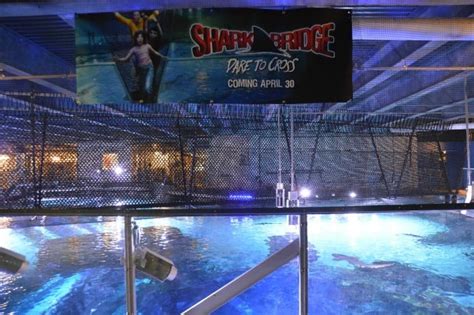 Shark Bridge Opens At Newport Aquarium