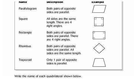identify quadrilaterals worksheet