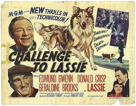 Image Gallery For Challenge To Lassie Filmaffinity