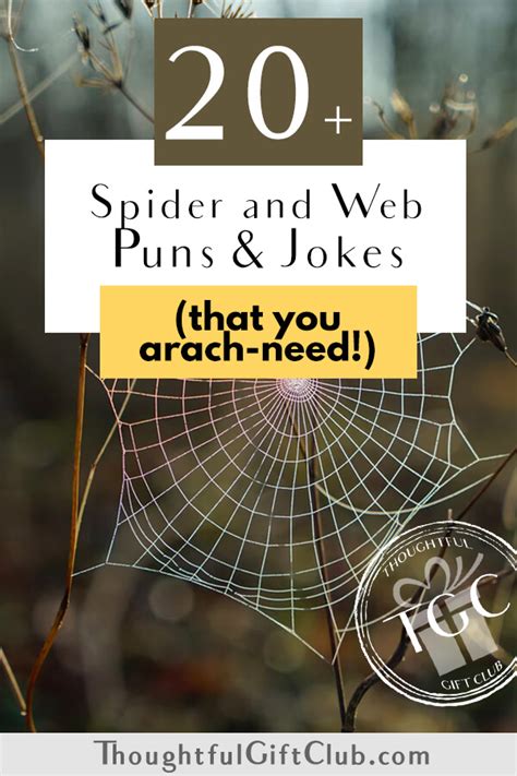 20 spider and web puns jokes for instagram captions that you arach need