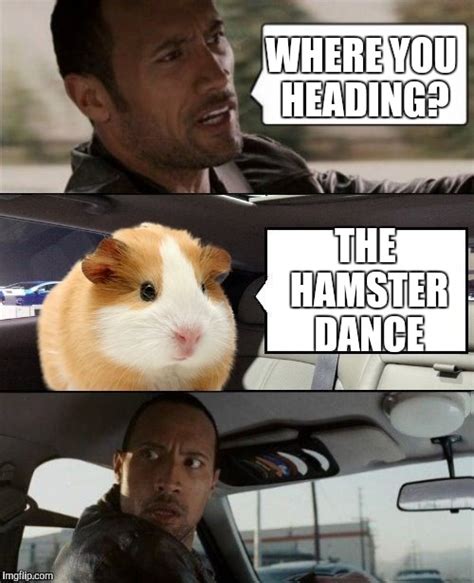 Come On Everybody Hamster Weekend July 6 8 A Bachmemeguy2