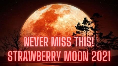 A full moon at this time of the year is known as a strawberry moon. Strawberry Moon 2021| FULL MOON JUNE 2021| When to see ...