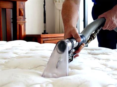 Dust Mites Mattress Cleaning Professional Cleaning Services Singapore