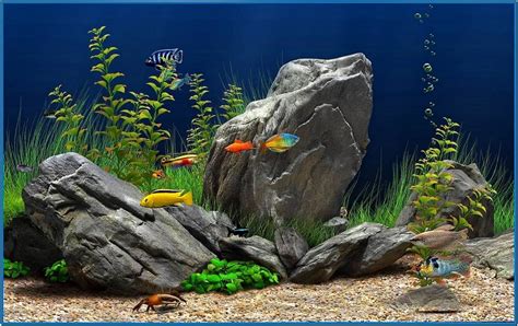 Dream Aquarium Xp Screensaver 11090 Download Free