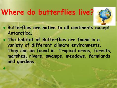 However, for many butterflies, their lifespan can be as short as 14 days. PPT - Interesting and fun facts about butterflies ...