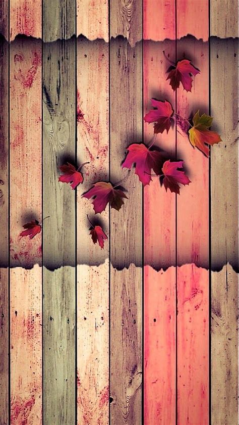 Leaves Wall Autumn Colors Wood Hd Phone Wallpaper Peakpx