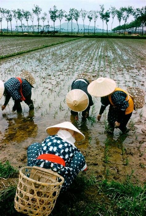 Farming For Japan Farming Mania