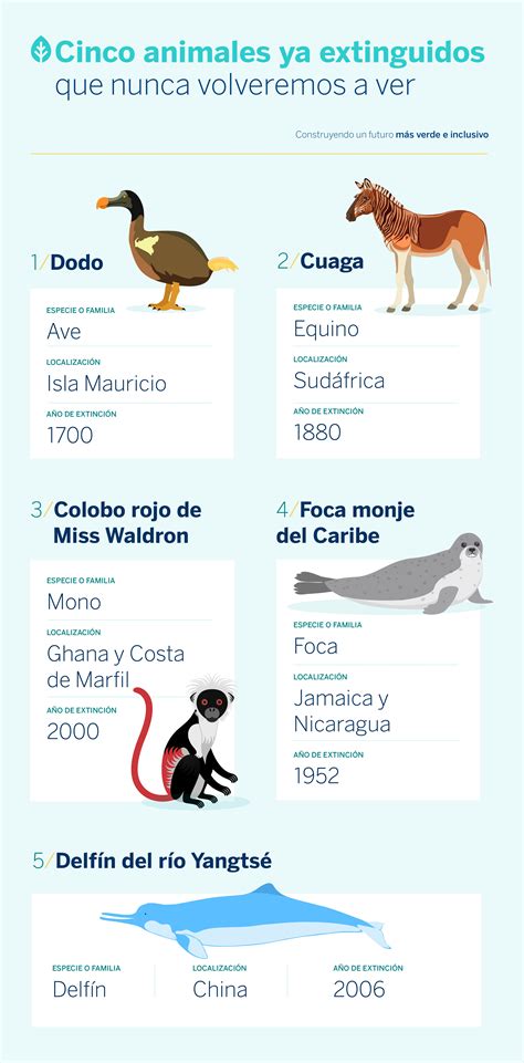 Top 192 Animales En Peligro De Extincion Con Nombres Y Imagenes