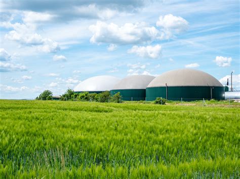 Wat Is Bioenergie Uit Biomassa Wat Zijn De Voor En Nadelen En De