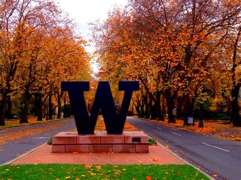 University Of Washington Wallpapers 4k Hd University Of Washington