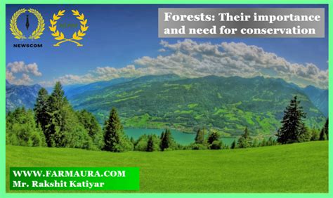 Forests Their Importance And Need For Conservation Farmaura