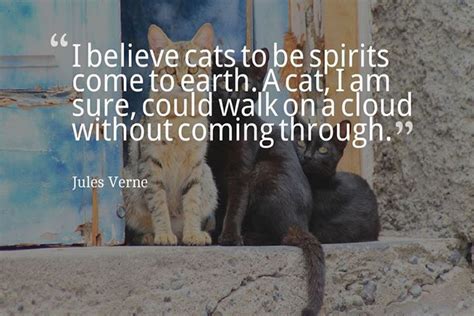 I Believe Cats To Be Spirits Come To Earth A Cat I Am Sure Could Walk