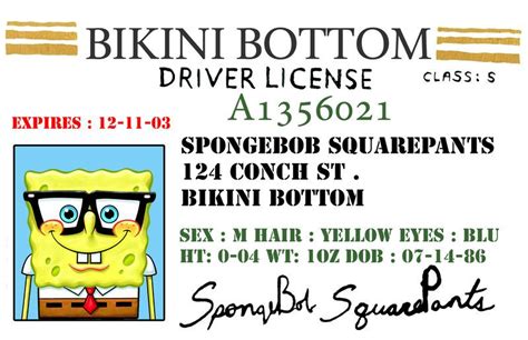 Business Card Spongebob Driving Lincense 2014 By Darshan2good