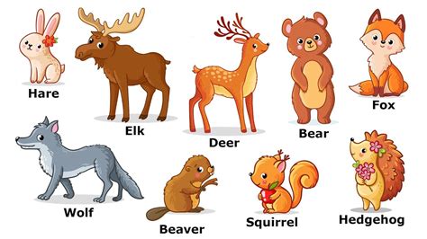 Учим английский Дикие животные Wild animals Учим название диких