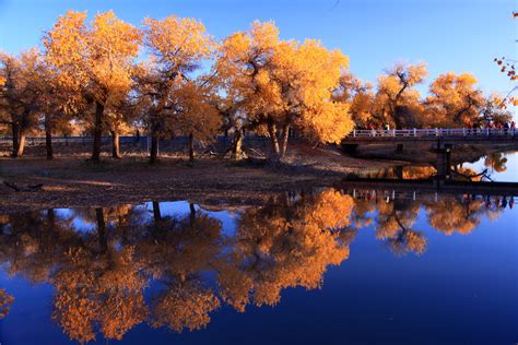 Nature Waters Autumn Trees Reflection In Water Wallpaperhd Nature